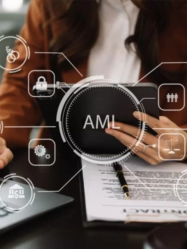 Anti-Money Laundering (AML) Services